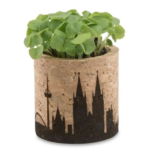 Cork plant set - Image 3